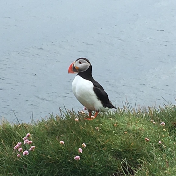 Meet your Posher, Tristan - Picture 1 of 1